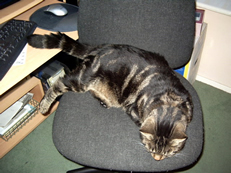 george_1