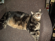 george_1