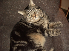 george_1