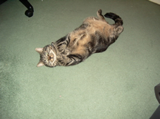 george_1