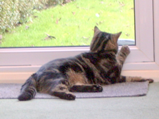 george_1