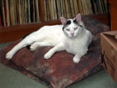 George