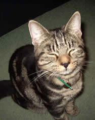 george_1