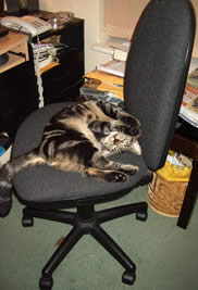 george_3
