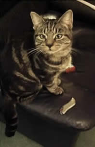george_3