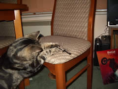 George and feather 1