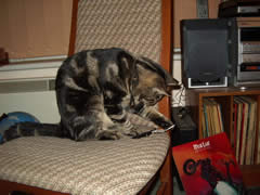 George and feather 2