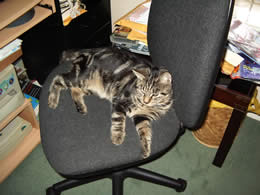 George lying down