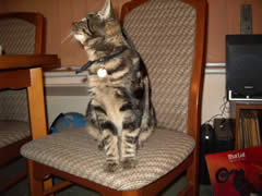 George posing